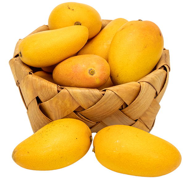 Are Pakistani Mangoes the best In Europe Market? - Juicy Mangoes